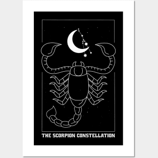 Scorpion constellation Posters and Art